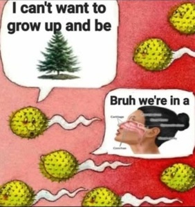 1HEtMlPJ.jpg