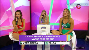 Mica.Viciconte.Huevos.Combate.1080P-ColitazTV.122.jpeg