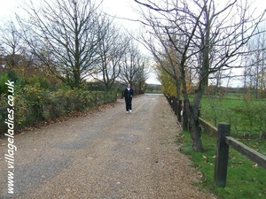 Permanent Link to Keep fit with Kelly