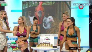 Brenda.Gomez.Marianita.Cesar.Enchastradas.Huevos.Combate.1080P-Colitaz.268.jpeg