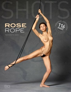 Permanent Link to 2015 02 22 rose rope