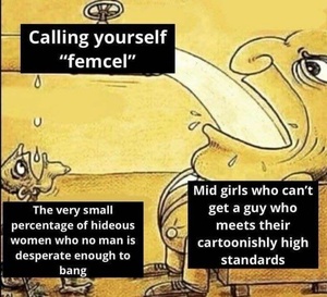 lIELsEOd.jpg