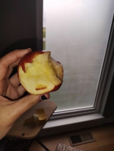 pP2Qs6Rs.jpg
