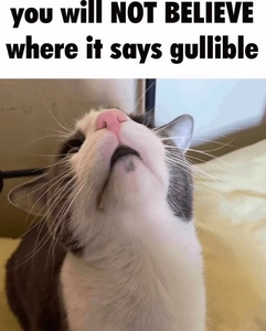 WZBHtPv7.jpg