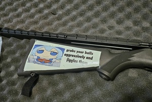 kEkv8NPx.jpg