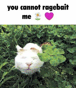 O4iwXp7r.jpg
