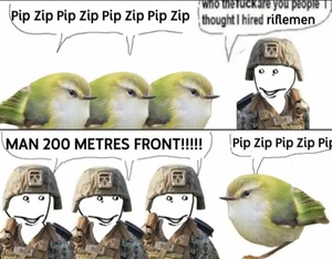 LKV2VMWu.jpg