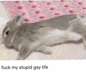 VjZIeele.jpg