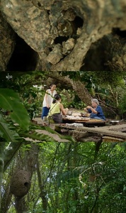 Expeditionen ins Tierreich Japans Garten Eden Die Insel Iromote 2023 GERMAN DOKU 1080p WEB x264-TMSF
