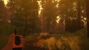 Firewatch (RUS/ENG/License)