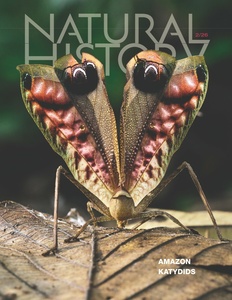 [Kép: ME1AWBM1_t.jpg]