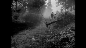 [Obrazek: MEQBNCV_t.png]