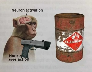 McTiXIoT.jpg