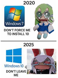 5OYV9msH.jpg