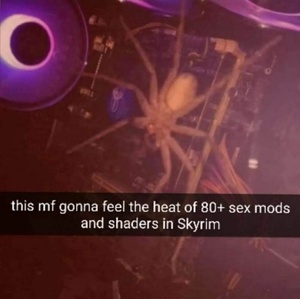 Sm0uWupH.jpg
