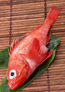 Свежая рыба / Fresh Fish MEGR86_t