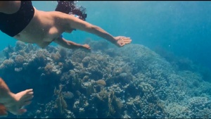 [Imagen: ME19LJJS_t.jpg]