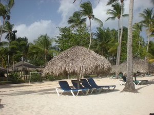 19804 (24).jpg