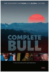 (incomplete)-Bull 2016 S04E15 Fleisch und Blut German DL 720p Webrip x264 iNTERNAL-TVARCHiV