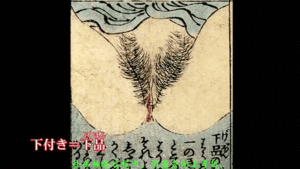 [日本三级]極妻の逆縁2[中文字幕][MP41180MB01:07:51hilldisk]