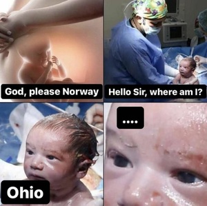 uUT9OEgf.jpg