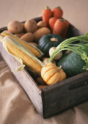 Сезонные овощи / Vegetables in Season MEH1M2_t