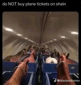 mH6rjWUN.jpg