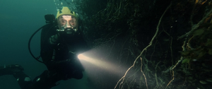 Дом на глубине / Подводный дом / The Deep House (2021) BDRip 720p, 1080p