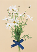Праздничные цветы / Celebratory Flowers MEN9TP_t