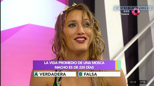 Mica.Viciconte.Huevos.Combate.1080P-ColitazTV.104.jpeg