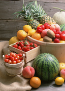 Урожай фруктов / Abundant Harvest of Fruit MEH2Z5_t