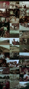 Sevyears.jpg