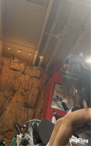 [Bild: MERZDEC_t.gif]