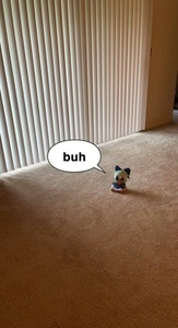 SLxmzeZy.jpg
