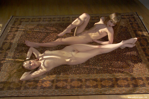 [Image: ME12DVC3_t.jpg]