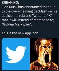 w49F7ivW.jpg