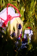 4Olu34P5.jpg