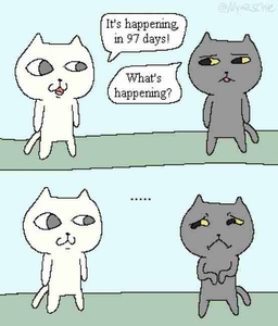 D1XtMW7j.jpg
