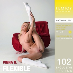 Permanent Link to 2017 01 01 Vinna R Flexible