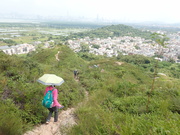 Hiking Tin Shui Wai 2023 July - 頁 2 MEP82BI_t