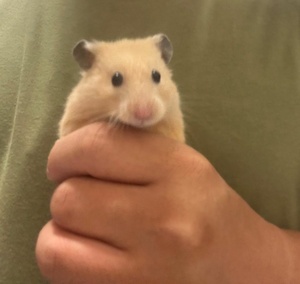WPPNj9Ed.jpg