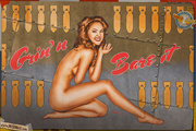 nose_art_pinups___grin__n_bare_it_by_warbirdphotographer_ddczz1h-150.jpg