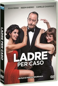 Ladre per caso (2017) 1080p X264 AC3 ITA DTS FRA