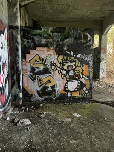 M5OIAuZD.jpg
