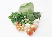 Сезонные овощи / Vegetables in Season MEH1E1_t
