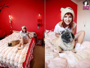 Permanent Link to 2011 08 16 – Lunar – Pugs not Drugs