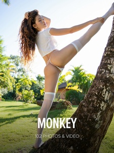 Permanent Link to 2019 11 01 Irene Rouse Monkey