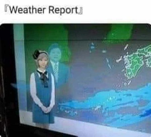 TMYYsSFq.jpg