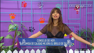 Solange.Abraham.Hoy.Ganas.Vos.Transparencia.Pezones.1080P.Ver.Orig.ColitazTV.28.jpeg