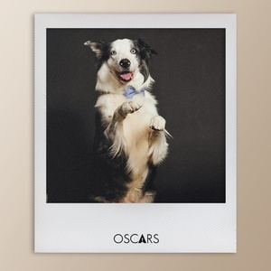 theacademy_426767915_3538233933094783_9026327451467912803_n.jpg